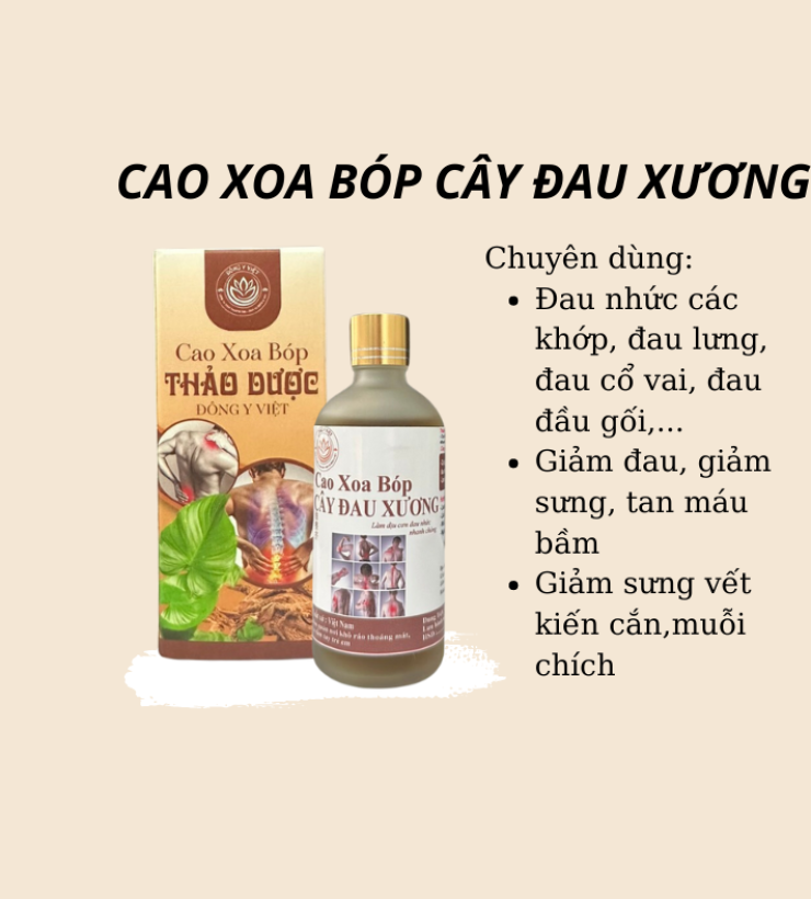 CAO XOA BÓP CÂY ĐAU XƯƠNG 