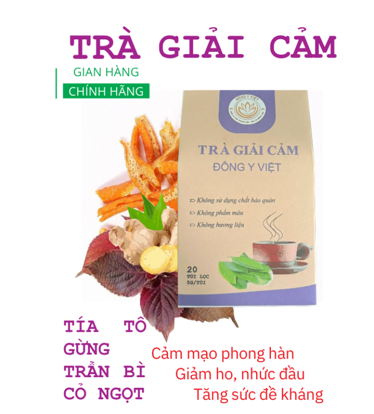 TRÀ GIẢI CẢM ĐÔNG Y VIỆT