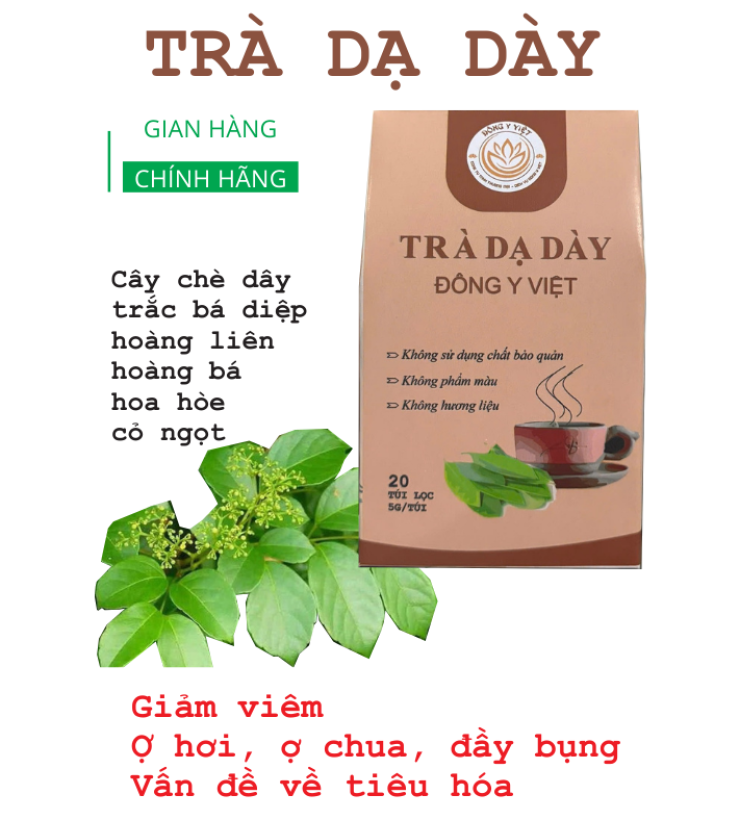 TRÀ DẠ DÀY ĐÔNG Y VIỆT